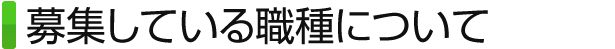 募集している職種について